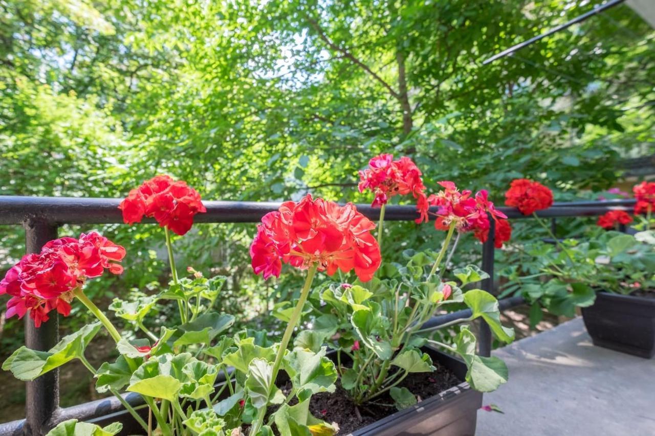 סופיה Your Perfect Place To Stay On Vitosha Str Apt מראה חיצוני תמונה